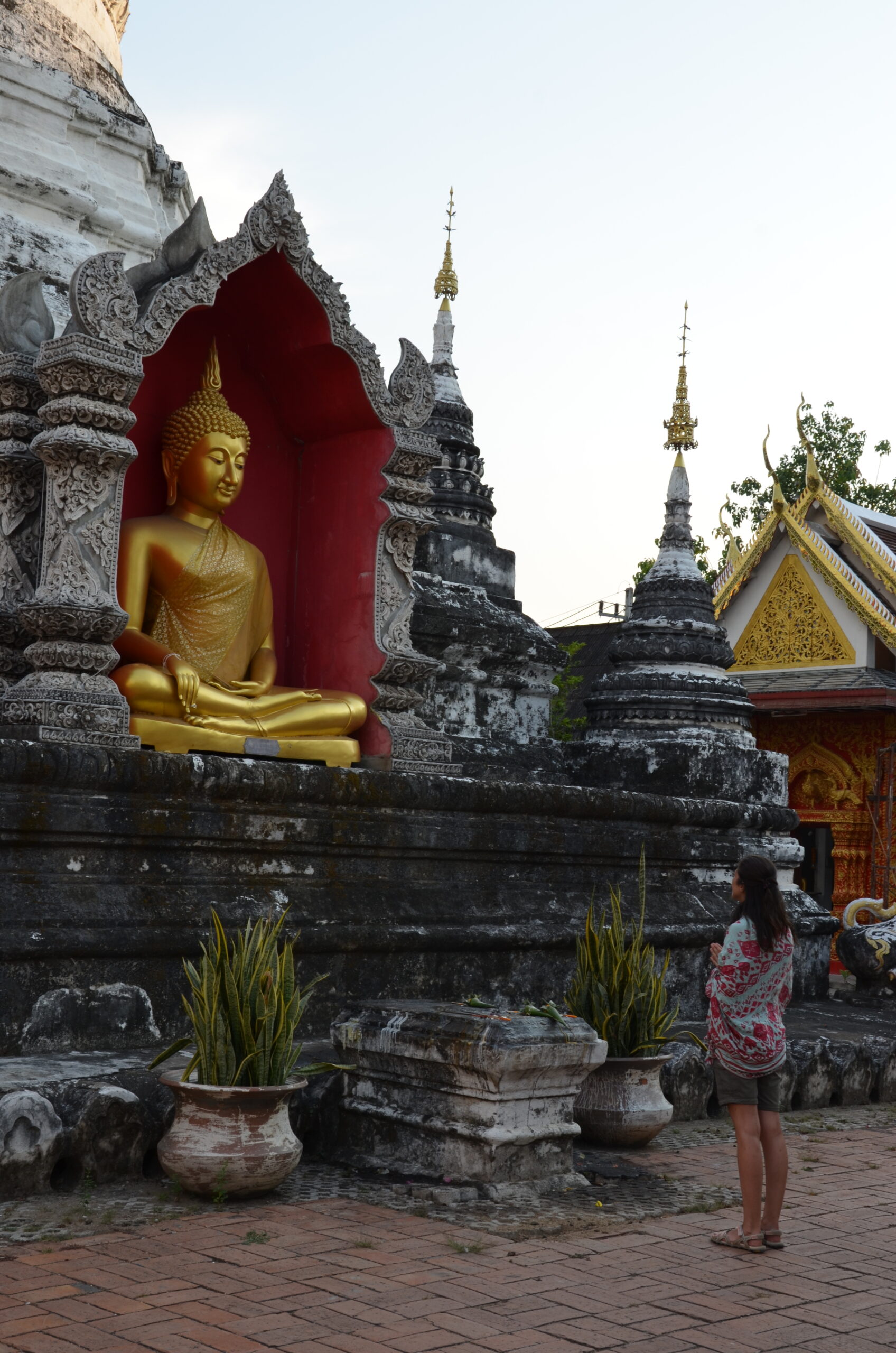 Caro en Tailandia