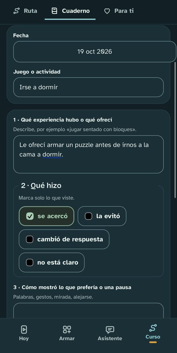 La hoja de observación de preferencias rellena dentro de la app Mi rutina en calma
